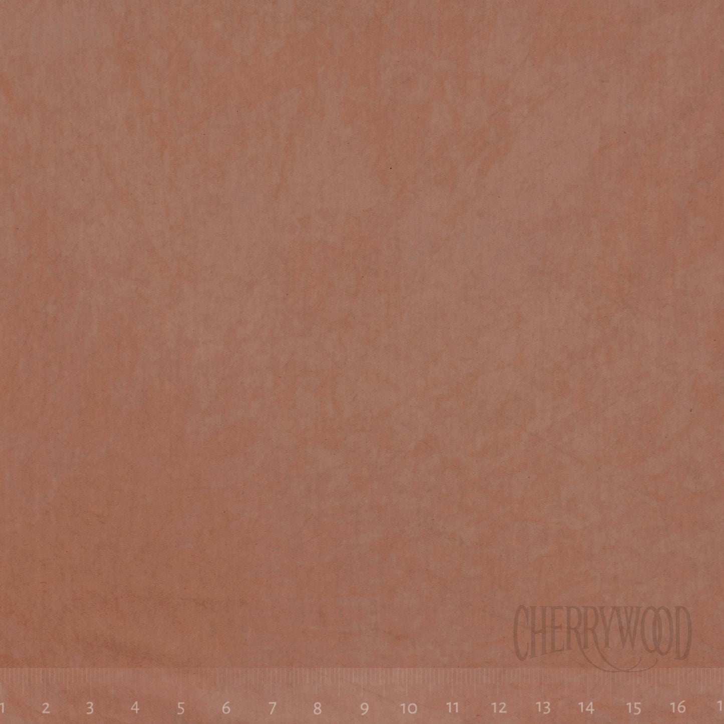 0265 Latte 8-Yard Bolt