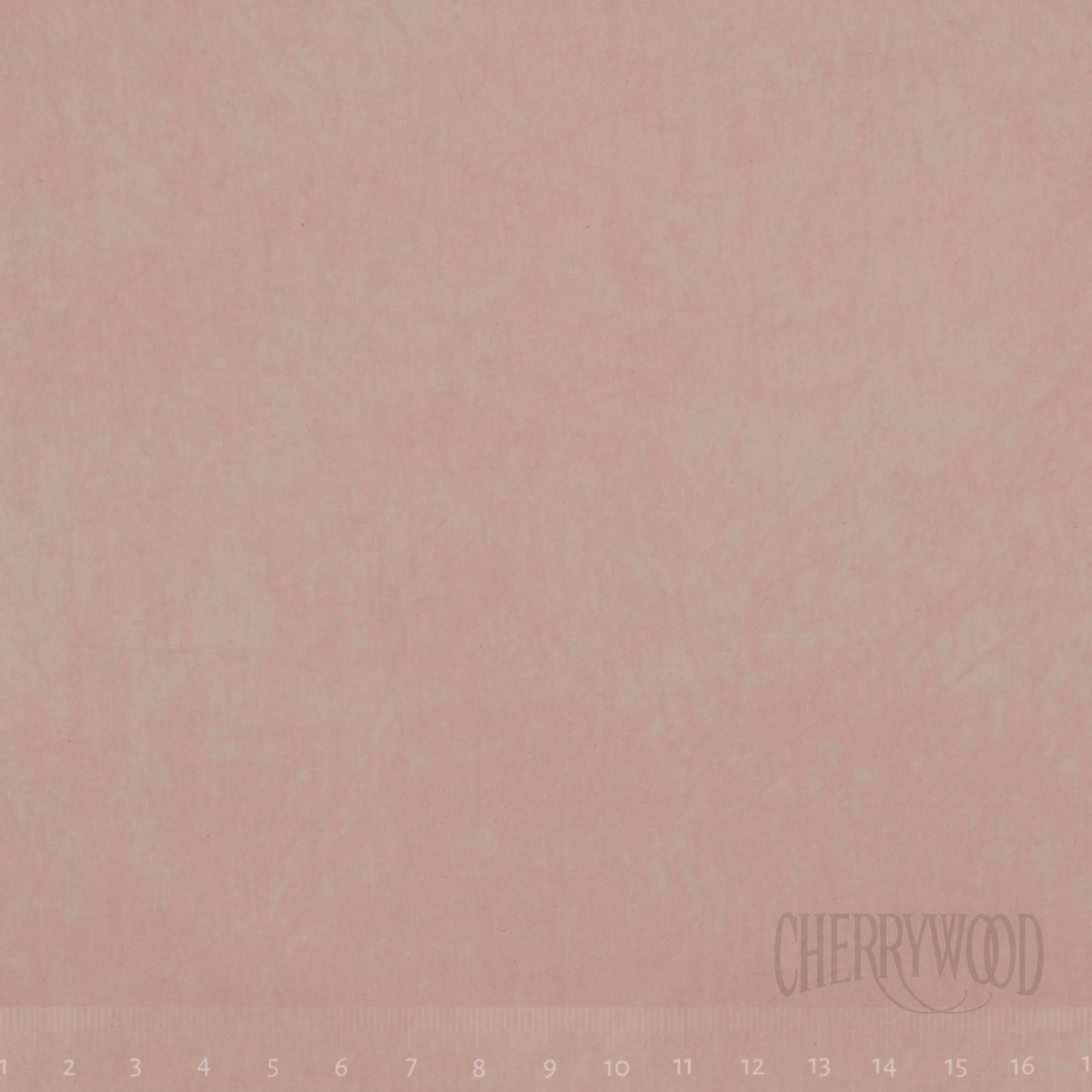 0275 Cameo 8-Yard Bolt