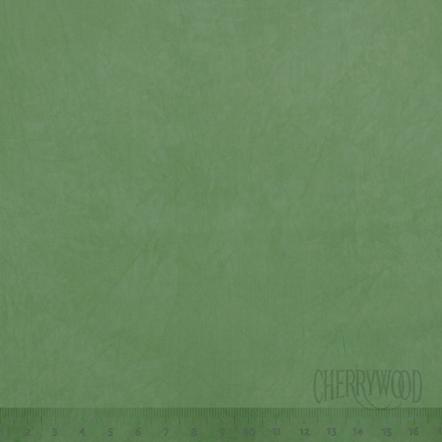 0775 Tarragon 8-Yard Bolt