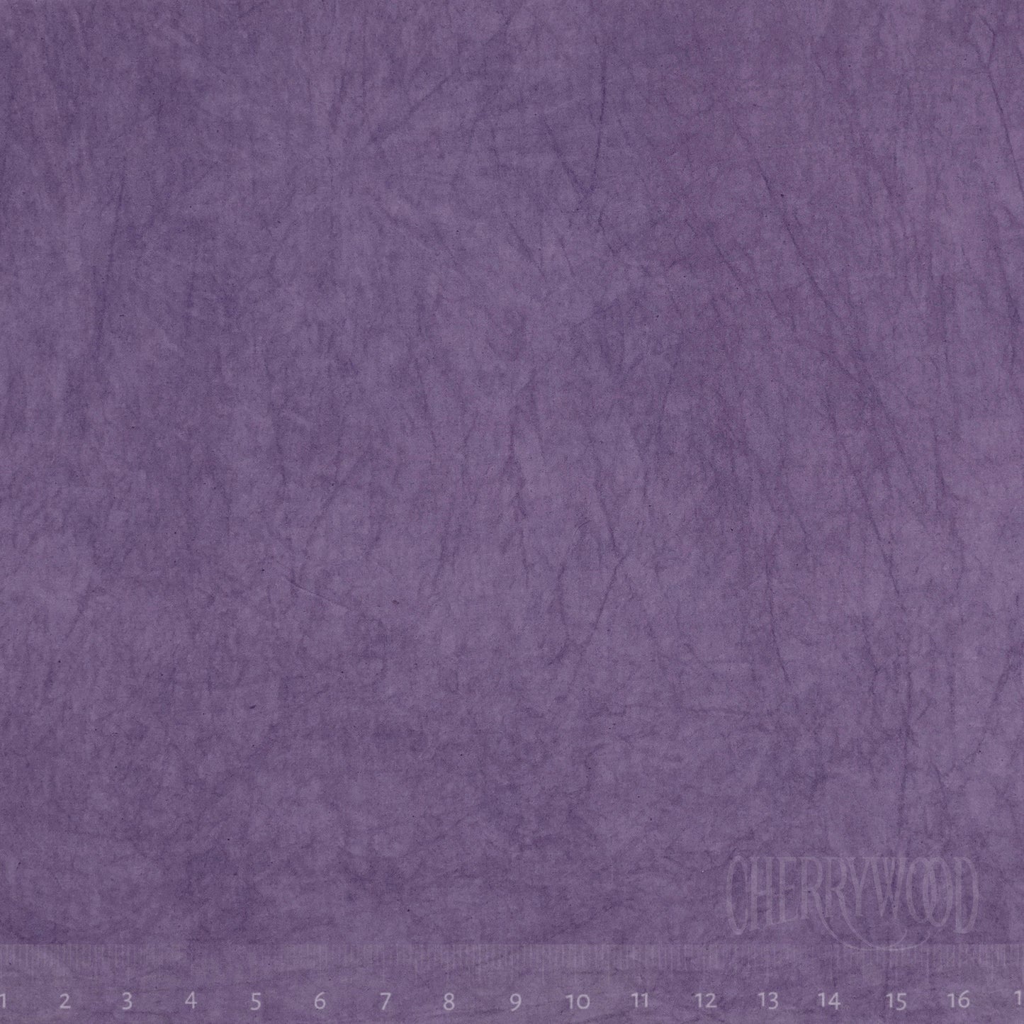 1040 Aster 8-Yard Bolt