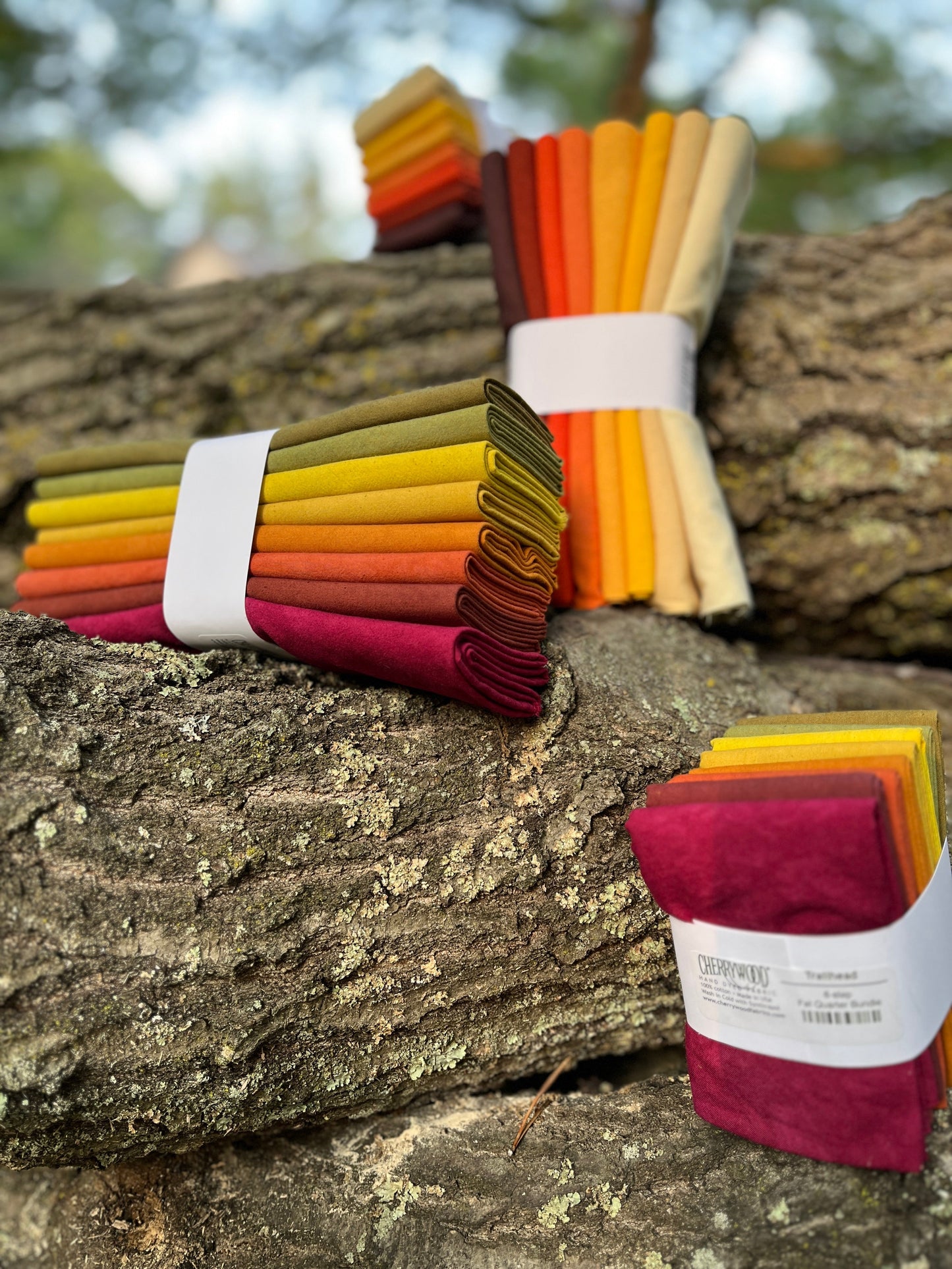 Woodland Garden Collection 2025