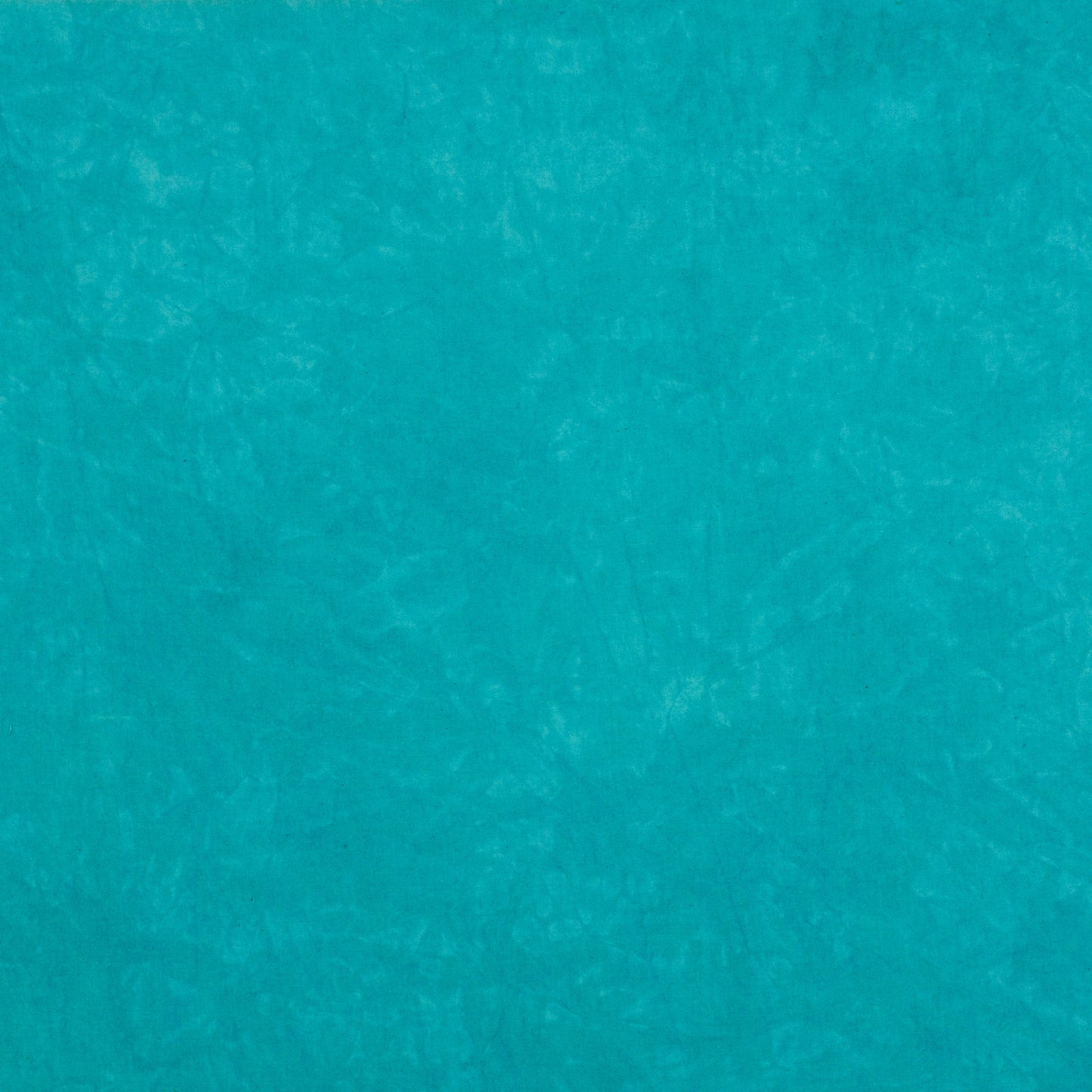 0835 Marine 8-Yard Bolt