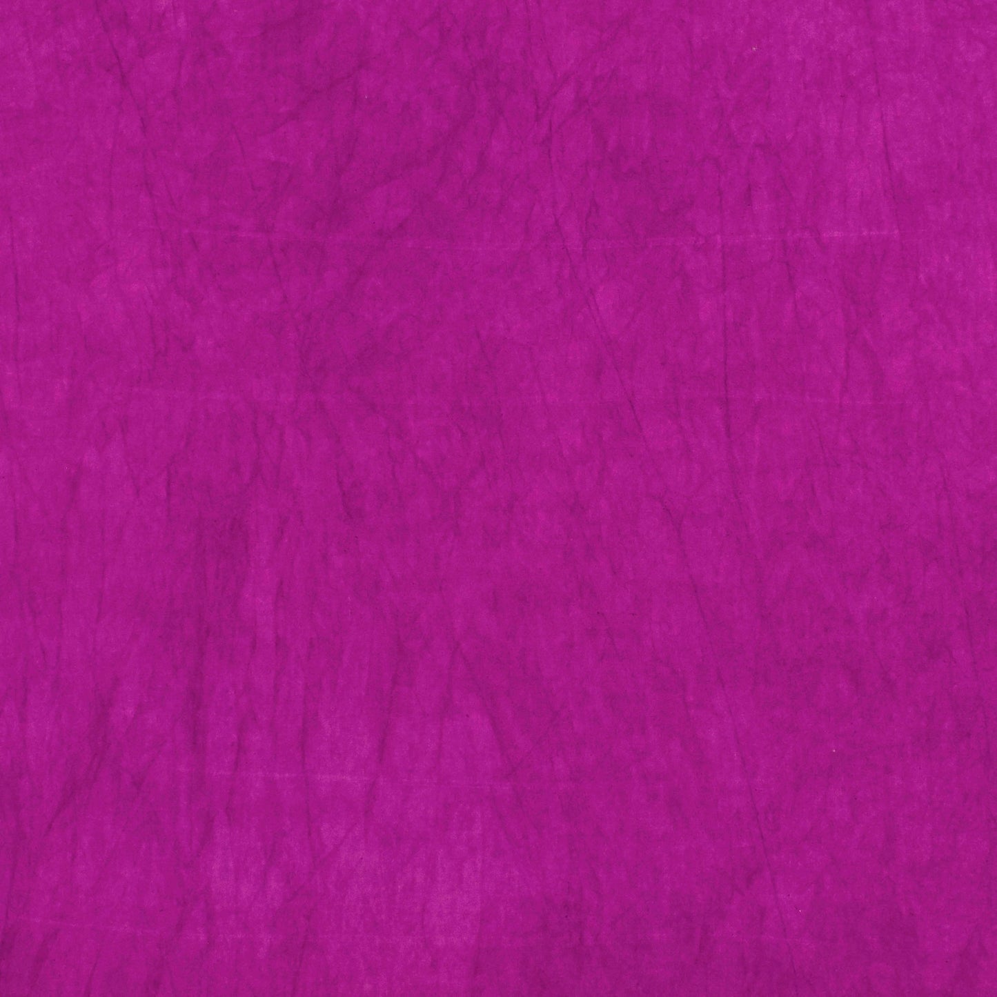 1130 Violet 8-Yard Bolt