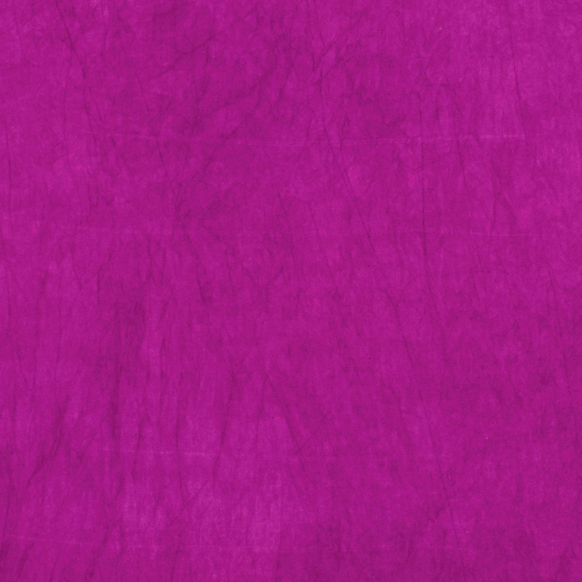 1130 Violet 8-Yard Bolt