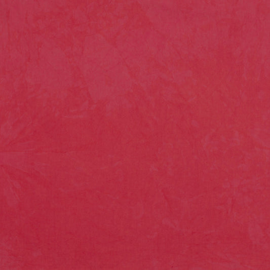 0160 Watermelon Half Yard
