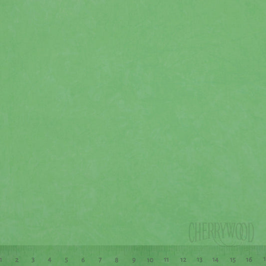 0760 Spearmint 8-Yard Bolt
