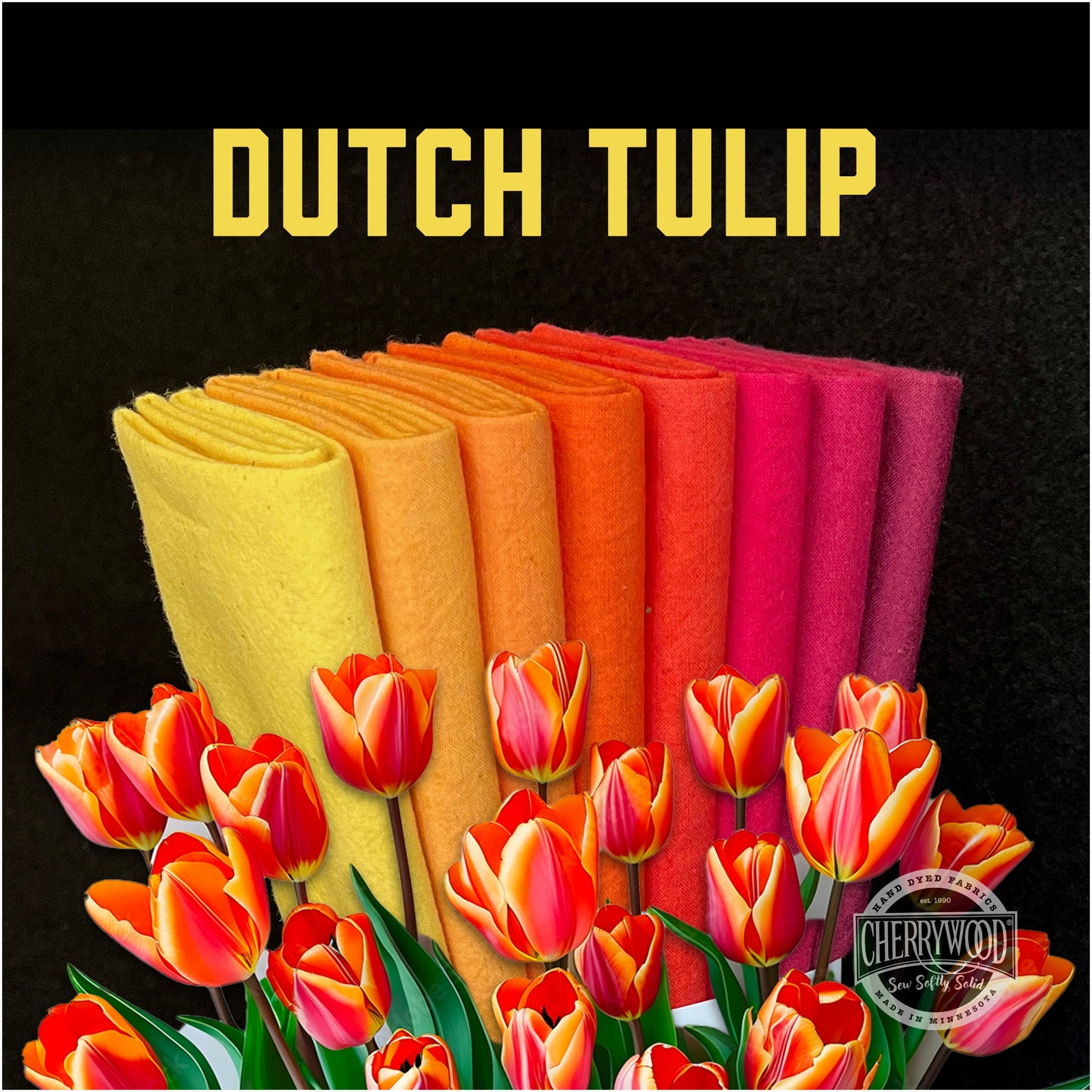 Dutch Tulip