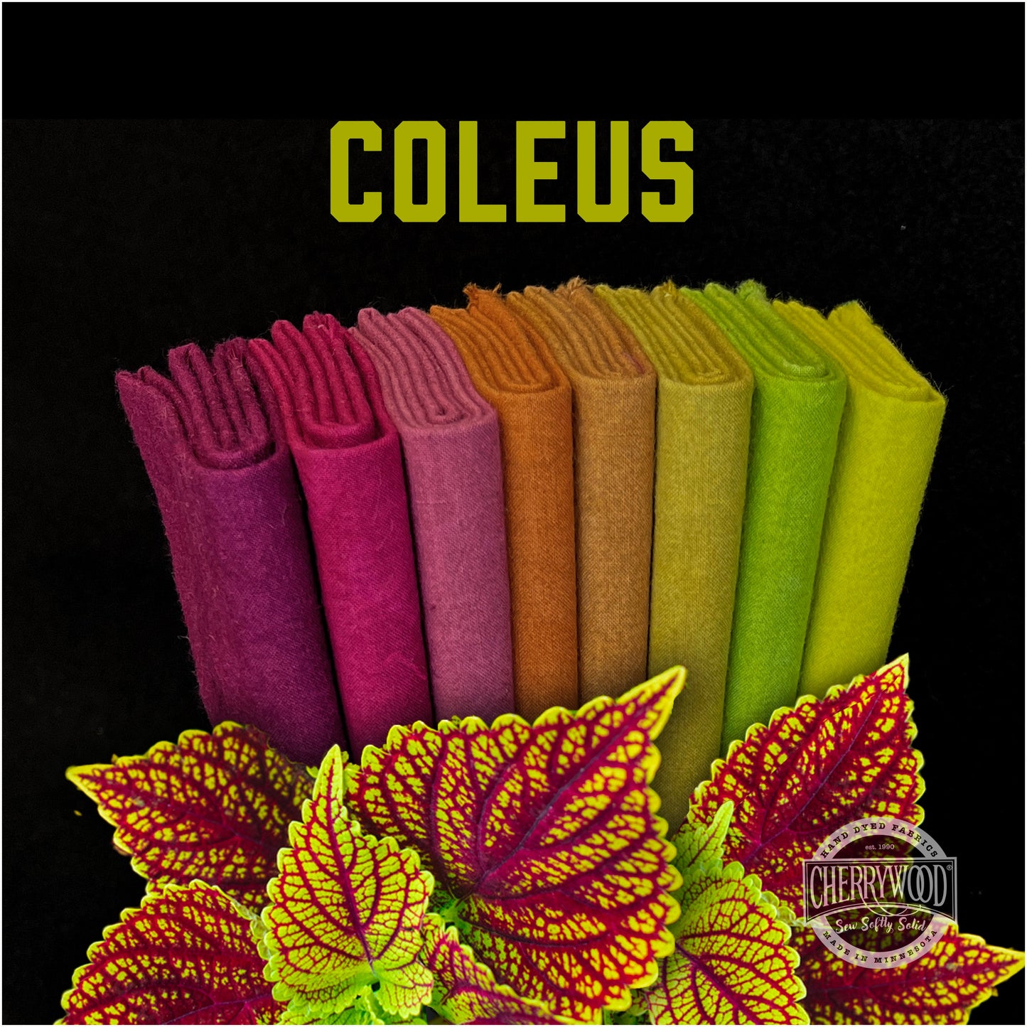 Coleus
