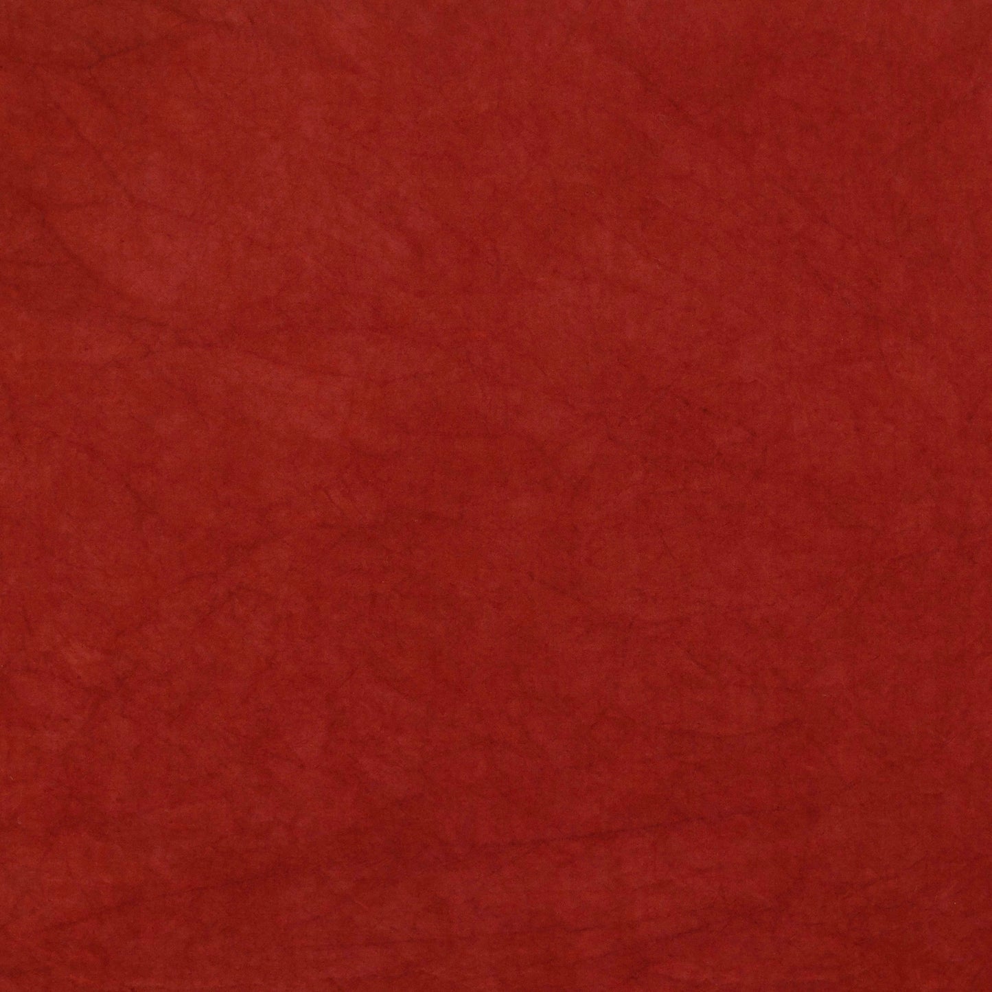 0205 Paprika 8-Yard Bolt