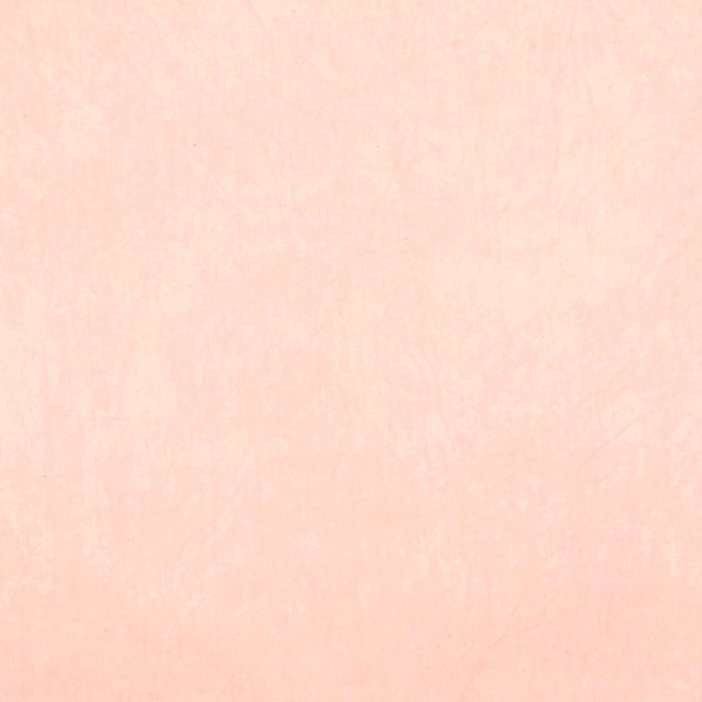 0275 Cameo 8-Yard Bolt