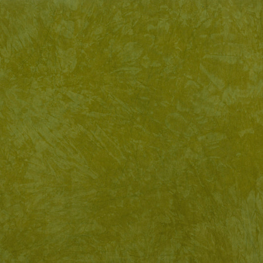 0620 Lizard 8-Yard Bolt