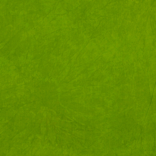 0645 Wicked 8-Yard Bolt