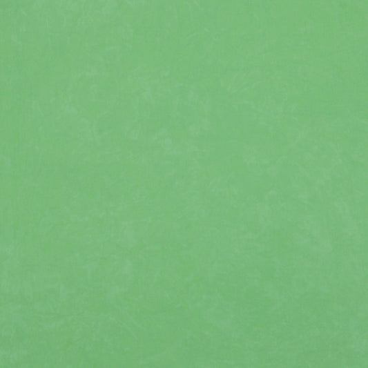 0760 Spearmint 8-Yard Bolt
